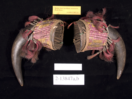 Hearst Museum object titled Buffalo horns, accession number 2-13847a,b, described as Pair; decorated with quillwork, tin cones, dyed horsehair.