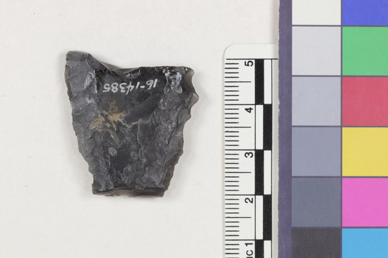 Hearst Museum object 2 of 2 titled Flake fragment, accession number 16-14385, described as Projectile point fragment; obsidian; triangular; weight: 6.41 grams; length: 3.1 cm; width: 2.95 cm; depth: 0.5 cm.