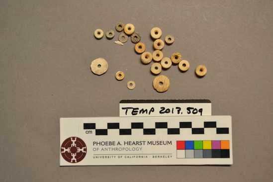 Hearst Museum object titled Bead, accession number TEMP 2013.509, described as Beads found with no museum number or label. Found in bag with label "SAC 56 no cat.#  found in assoc. with #'s  L-15100- L-15106". No other information found.