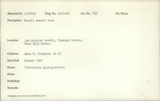 Documentation associated with Hearst Museum object titled Faunal remains, accession number 1-77693, described as Fossil mammal bone.