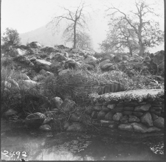 Hearst Museum object titled Black-and-white negative, accession number 15-2492, described as Pigeon snare ambush