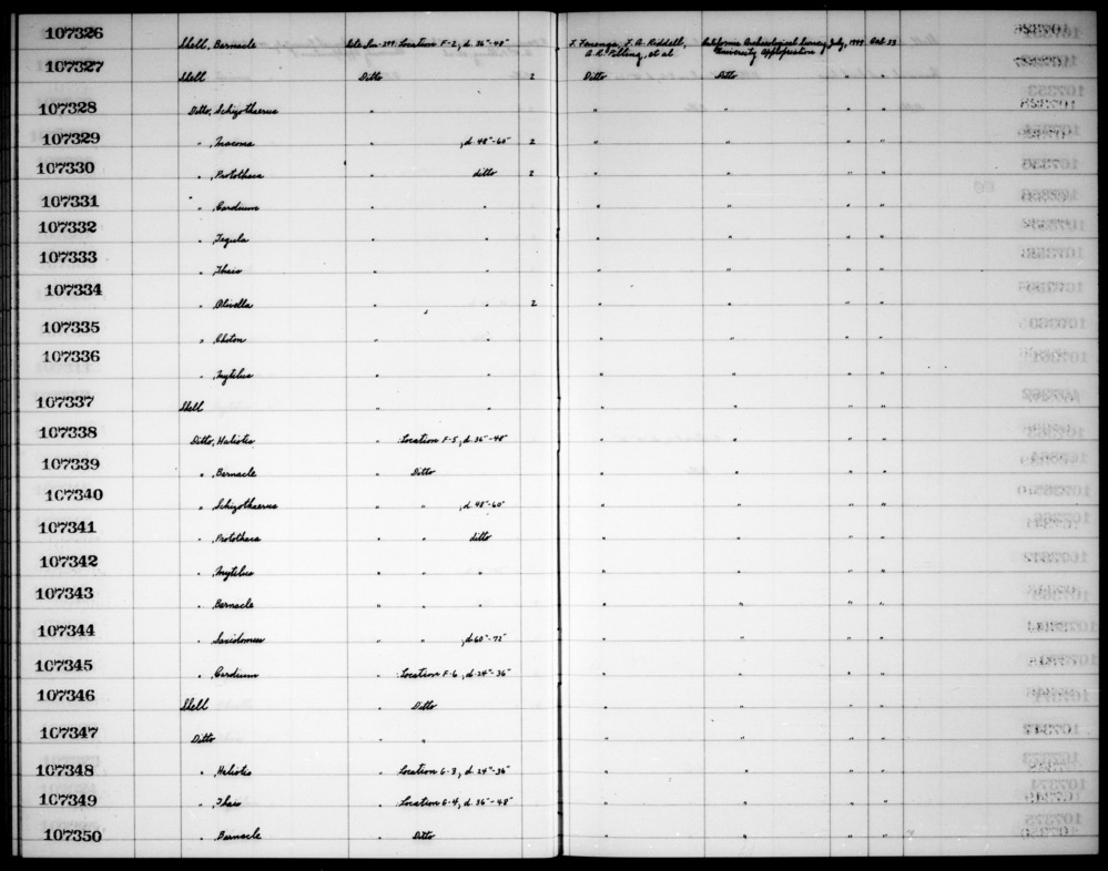 Documentation associated with Hearst Museum object titled Shell, accession number 1-107338, described as Haliotis.