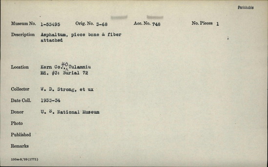 Documentation associated with Hearst Museum object titled Asphaltum, accession number 1-53495, described as Piece of bone and fiber attached.