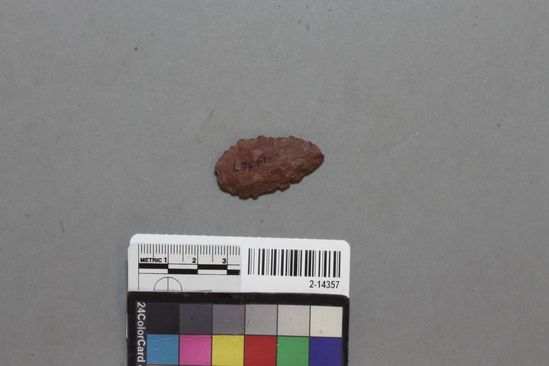 Hearst Museum object titled Projectile point, accession number 2-14357, described as Red arrow point.