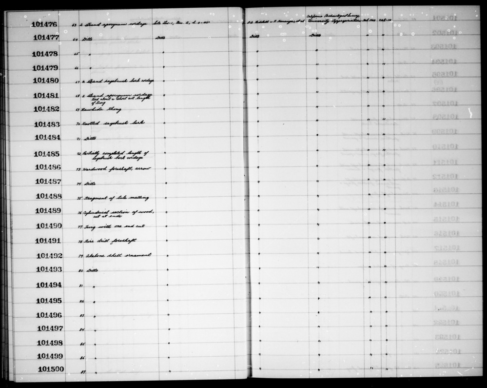 Documentation associated with Hearst Museum object titled Bark, accession number 1-101484, described as Knotted sagebrush bark.