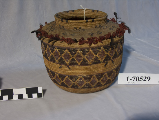 Hearst Museum object titled Basket, accession number 1-70529, described as Coiled, bottle neck. Wool and quail crests on shoulder.  Materials: grass coil, cladium sewing, design in black and redbud.