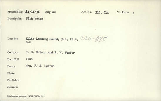 Documentation associated with Hearst Museum object titled Faunal remains, accession number 1-11331, described as Fish