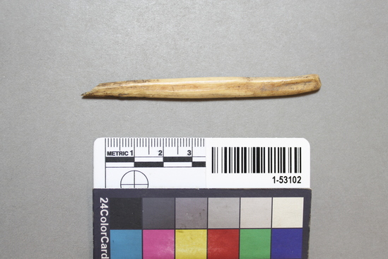 Hearst Museum object titled Awl, accession number 1-53102, described as Fragment, bone