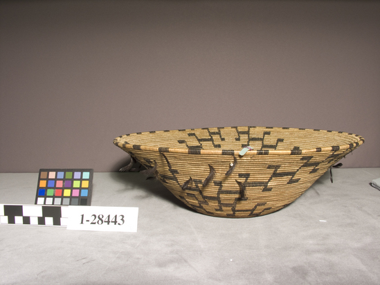 Hearst Museum object titled Basket, accession number 1-28443, described as Coiled, flaring basket.  Black design, small quail feathers, 1 white bead.