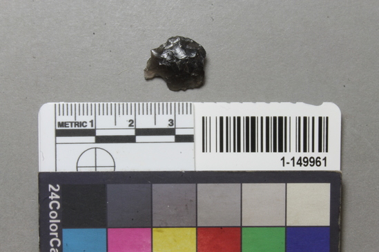 Hearst Museum object titled Projectile point fragment, accession number 1-149961, described as Obsidian. Expanding stem, corner notched, concave base. Fragment.