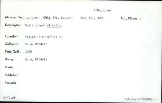 Documentation associated with Hearst Museum object titled Shell, accession number 1-212293, described as Spire lopped olivella.