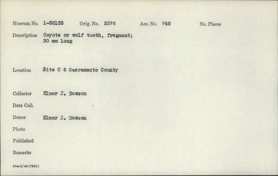 Documentation associated with Hearst Museum object titled Tooth, accession number 1-58135, described as Fragment, coyote or wolf