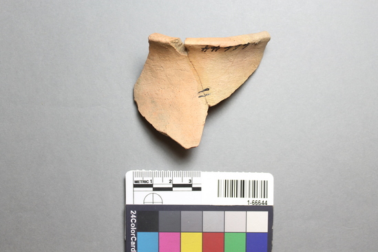 Hearst Museum object titled Potsherd, accession number 1-66644, described as Carrizo Buff II (sedimentary), olla rim.