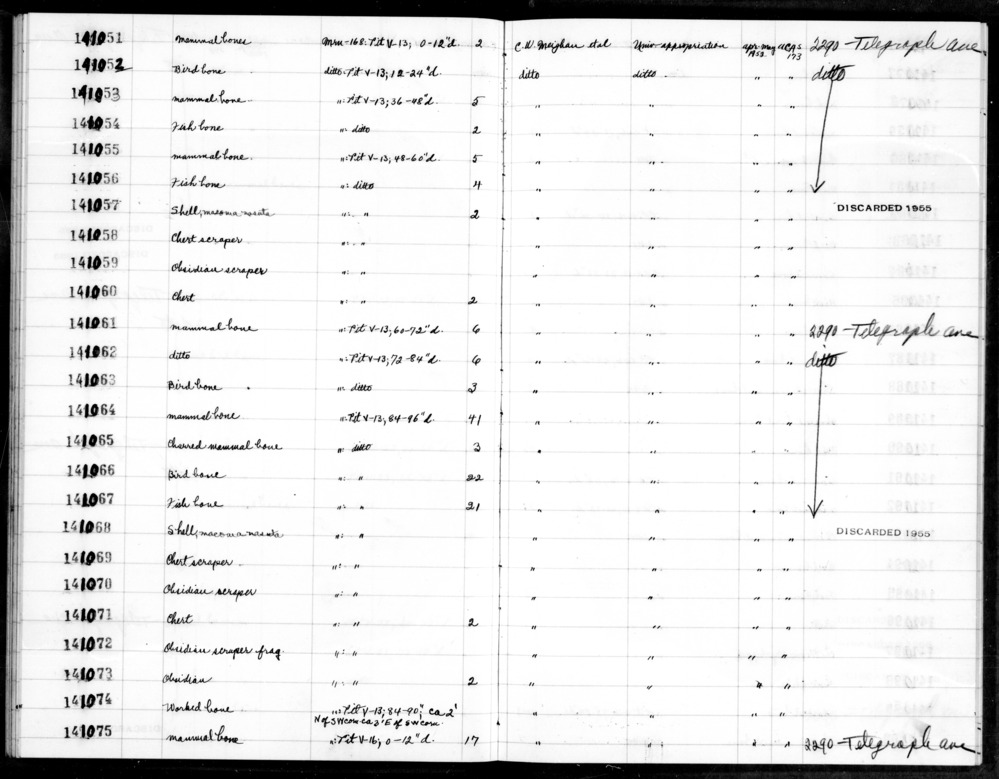 Documentation associated with Hearst Museum object titled Worked bone, accession number 1-141074, described as Worked.