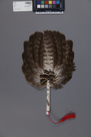 Hearst Museum object titled Fan, accession number 9-16200, described as Crane feather fan with polished bone handle; handle is painted with cranes and vegetation, it has a red cord and tassel attached to end of handle. There are three different kinds of feathers use for fan.