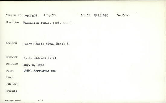 Documentation associated with Hearst Museum object titled Mammal bone, accession number 1-197897, described as Mammalian femur probably.