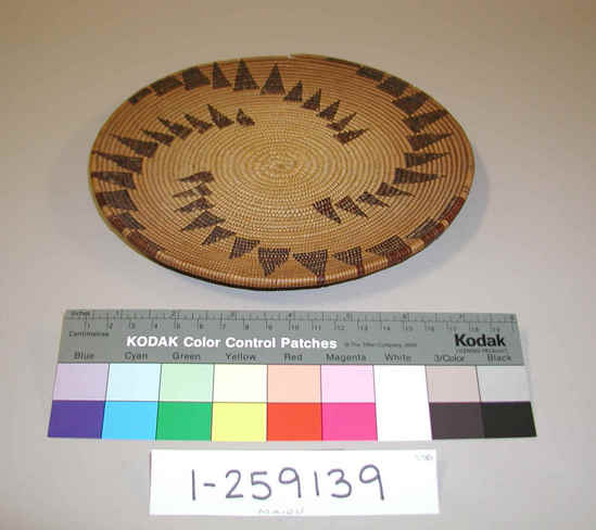 Hearst Museum object titled Winnowing tray, accession number 1-259139, described as For winnowing or parching, unfinished.  3-rod foundation of peeled willow shoots, weft of split, peeled bigleaf maple shoots, and design in split redbud shoots.