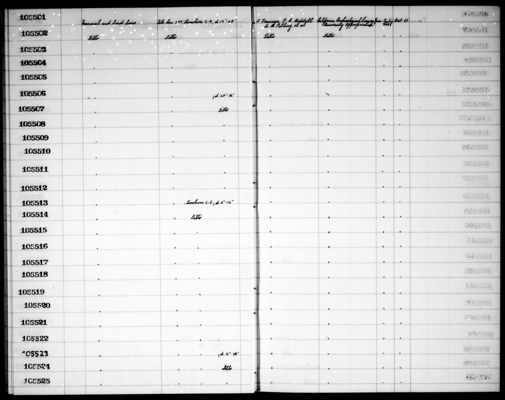 Documentation associated with Hearst Museum object titled Faunal remains, accession number 1-105508, described as Mammal and bird.