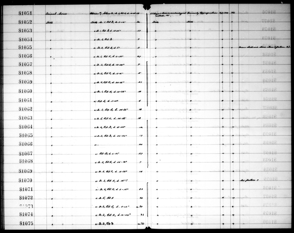 Documentation associated with Hearst Museum object titled Phalanx, accession number 1-81067.7, no description available.