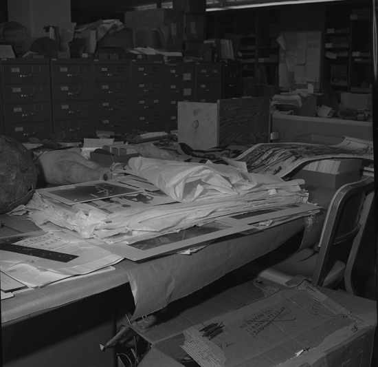 Hearst Museum object titled Black-and-white negative, accession number 15-19701a-c, no description available.