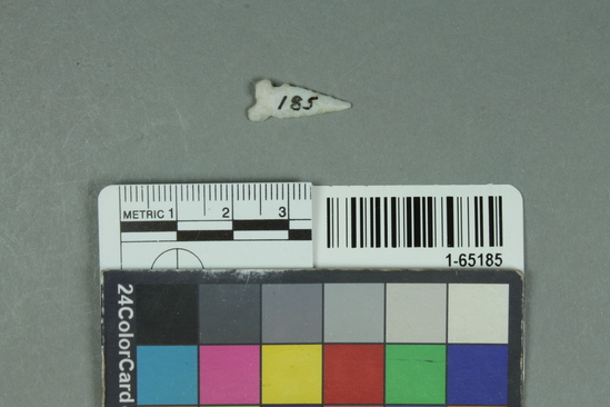 Hearst Museum object titled Point, accession number 1-65185, described as Chert. Type NBa-2.