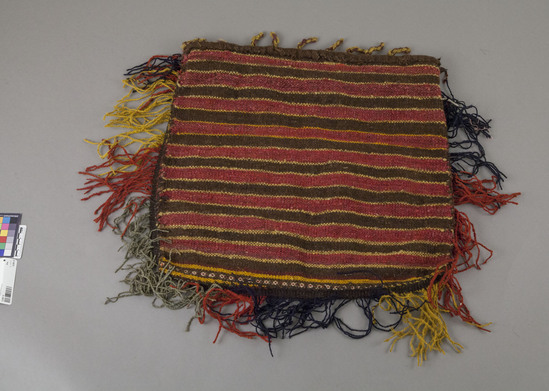Hearst Museum object titled Bag, accession number 9-14875, described as Saddlebag, wool tapestry weave, 49 cm plus fringe.