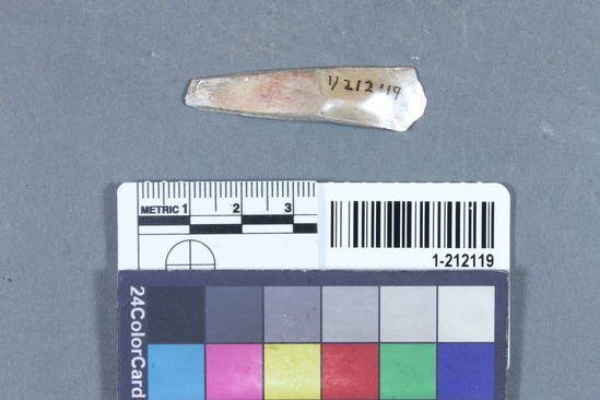 Hearst Museum object titled Shell fragment, accession number 1-212119, described as Triangular haliotis; fragment