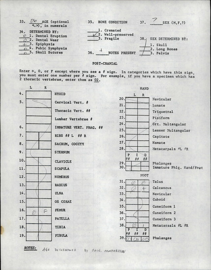 Documentation associated with Hearst Museum object titled Human remains, accession number 12-2134A, described as Remains of a chlld (6 years old).