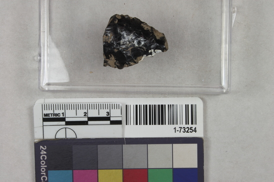 Hearst Museum object titled Point, accession number 1-73254, described as Obsidian point fragment