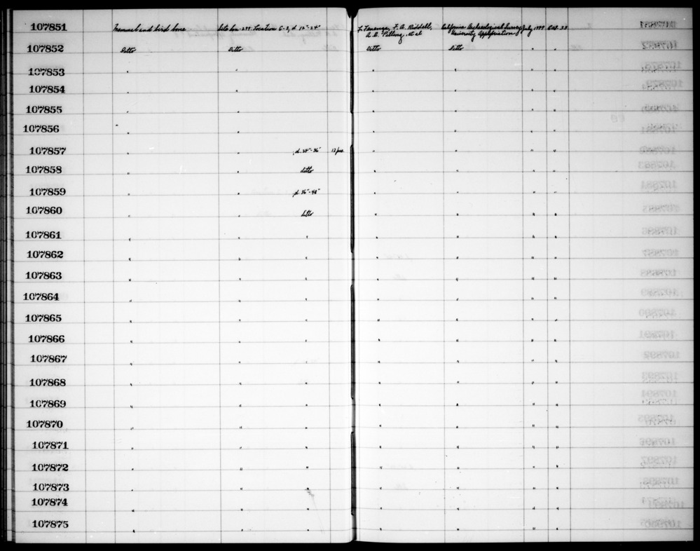 Documentation associated with Hearst Museum object titled Faunal remains, accession number 1-107860, described as Mammal and bird bone.