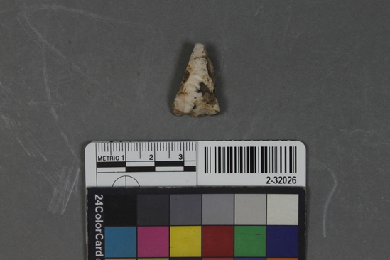 Hearst Museum object titled Point or knife fragment, accession number 2-32026, described as Chert.