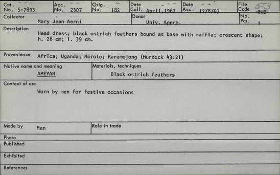Documentation associated with Hearst Museum object titled Headdress, accession number 5-7893, described as Native name: Ameyan Head dress; black ostrich feathers bound at base with raffia; crescent shape; height: 28 m; length: 39 cm. Worn by men for festive occasions Made by men