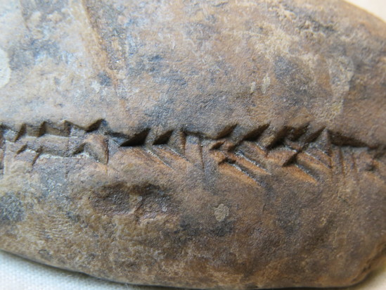 Hearst Museum object 100 of 122 titled Cuneiform tablet, accession number 9-3048, described as Mesopotamian cuneiform tablet