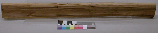 Hearst Museum object titled Bow blank, accession number 1-144272, described as Coarse split yew stave, rectangular in section.