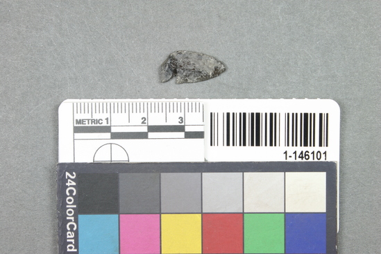 Hearst Museum object titled Projectile point fragment, accession number 1-146101, described as Obsidian.