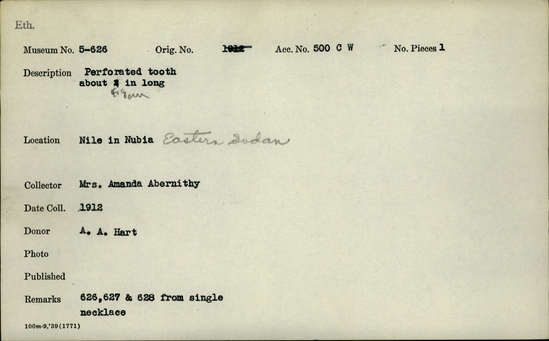 Documentation associated with Hearst Museum object titled Tooth, accession number 5-626, described as Perforated tooth