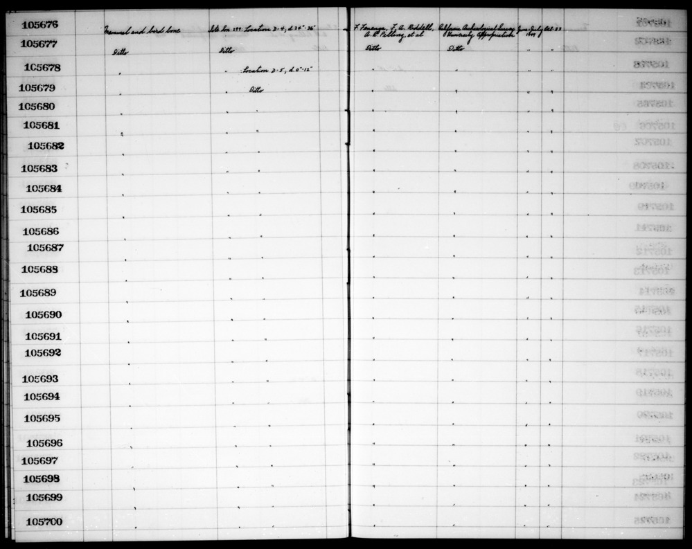 Documentation associated with Hearst Museum object titled Faunal remains, accession number 1-105679, described as Mammal and bird.