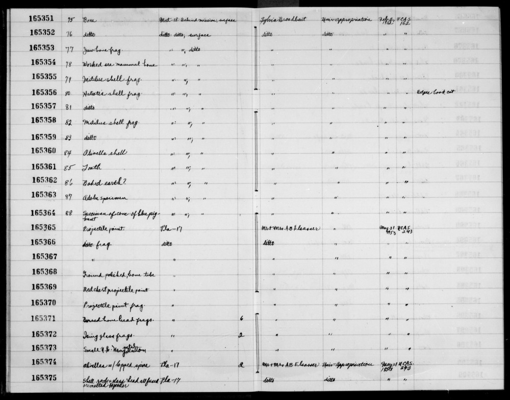 Documentation associated with Hearst Museum object titled Shell fragment, accession number 1-165357, described as Haliotis.