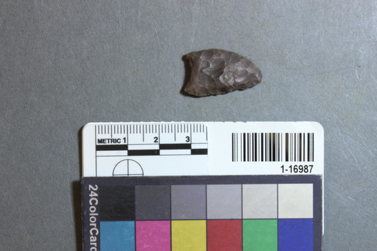 Hearst Museum object 23 of 28 titled Points, accession number 1-16987, described as Chipped points of flint, chert, etc.