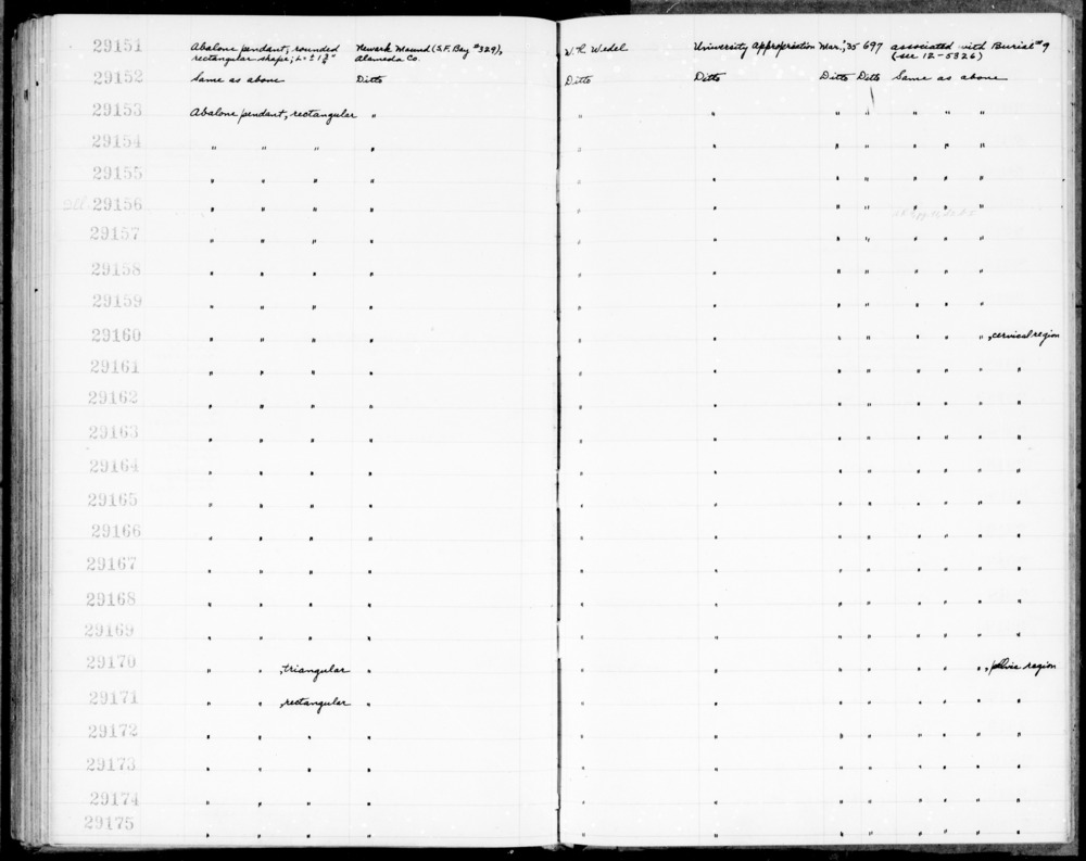 Documentation associated with Hearst Museum object titled Pendant, accession number 1-29169, described as Abalone; rectangular. Notice: Image restricted due to its potentially sensitive nature. Contact Museum to request access.