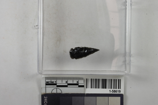 Hearst Museum object 1 of 4 titled Projectile point, accession number 1-58619, described as Arrowhead, obsidian