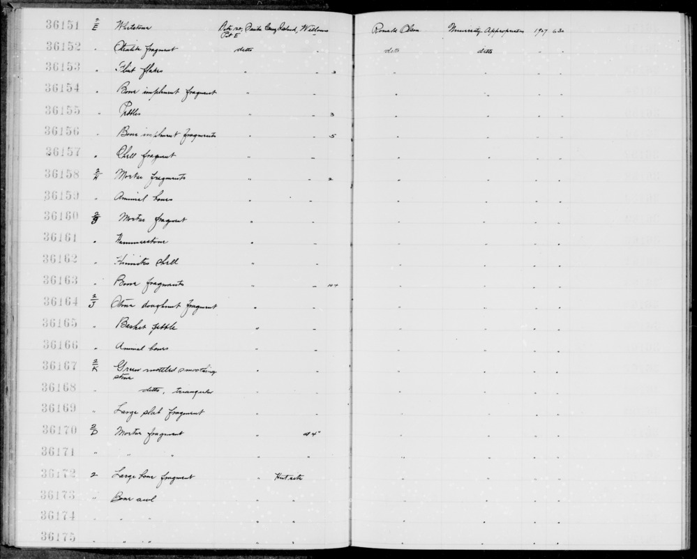 Documentation associated with Hearst Museum object titled Shell fragment, accession number 1-36157, described as Shell fragment.