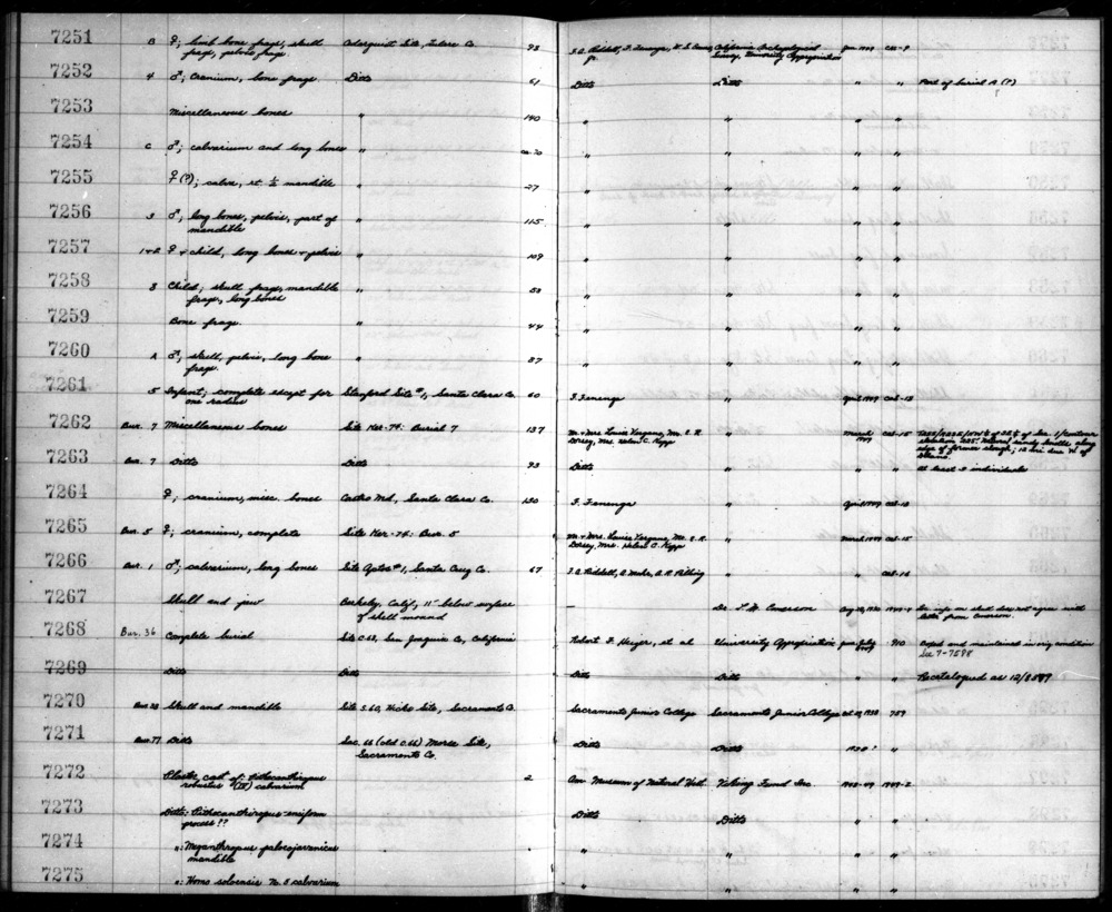 Documentation associated with Hearst Museum object titled Human remains, accession number 12-7258B, described as The incomplete remains of a child; 14 years old. Notice: Image restricted due to its potentially sensitive nature. Contact Museum to request access.