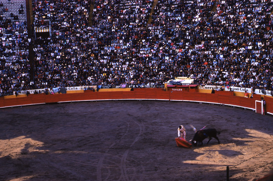 Hearst Museum object titled Color slide, accession number 25-5336, no description available.