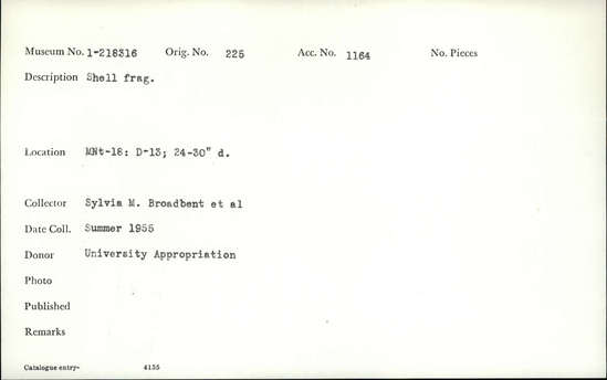 Documentation associated with Hearst Museum object titled Shell fragment, accession number 1-218316, described as Shell fragment