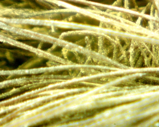 Hearst Museum object 46 of 72 titled Sling, accession number 4-5094, no description available.