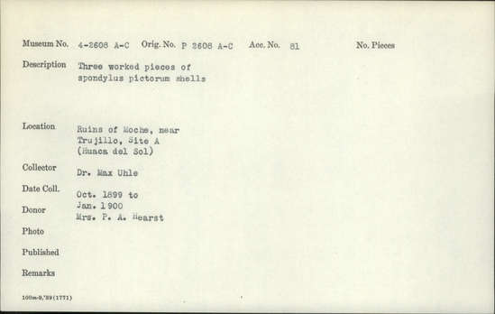 Documentation associated with Hearst Museum object titled Worked shell, accession number 4-2608b, described as Three worked pieces of spondylus pictorum shells.