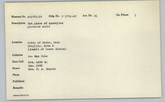 Documentation associated with Hearst Museum object titled Cut shell piece, accession number 4-1701, described as Cut piece of Spondylus pictorum shell.