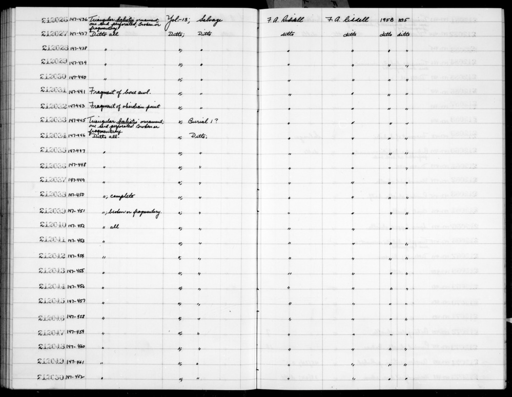 Documentation associated with Hearst Museum object titled Pendant fragment, accession number 1-212027, described as Triangular haliotis; one end perforated; broken or fragmentary.