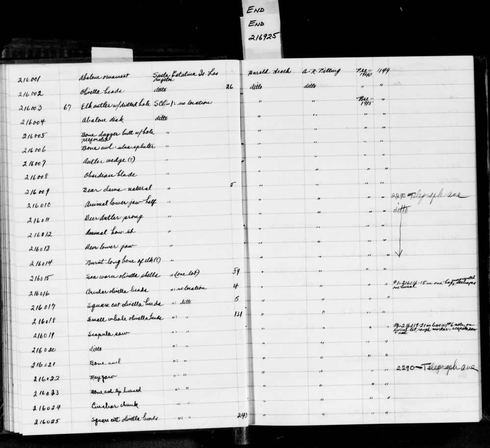 Documentation associated with Hearst Museum object titled Beads, accession number 1-216017, described as Square cut olivella beads;  M1a  (B&H:  140)  M-L Trans.